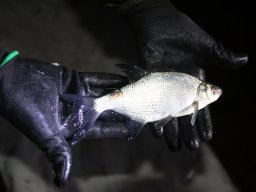 241206_k1_015