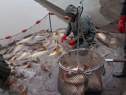 241206_pextra_002