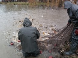 241206_pextra_003