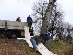 241206_pextra_009