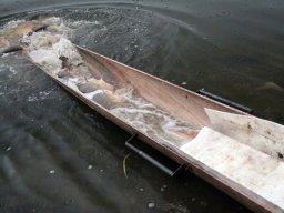 241206_pextra_012