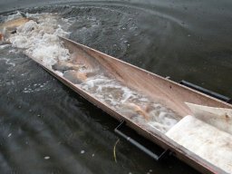 241206_pextra_013
