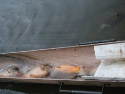 241206_pextra_015