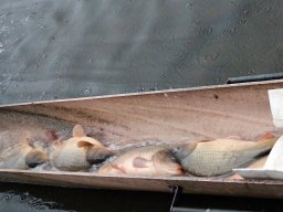 241206_pextra_016