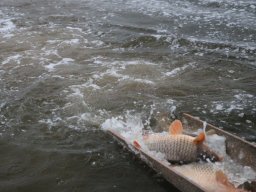 241206_pextra_019