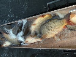 241206_pextra_028