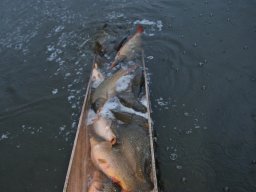 241206_pextra_030