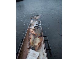 241206_pextra_031