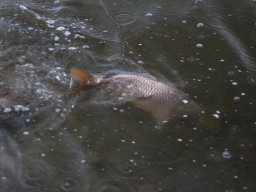 241206_pextra_038