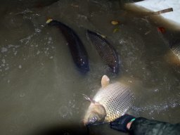 241206_pextra_059