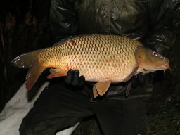 241206_pextra_071