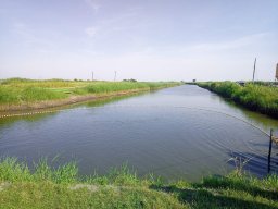 240619_pelo_001