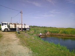 240619_pelo_002