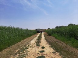 240619_pelo_020