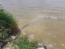 240619_pelo_024