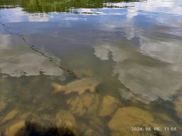 240605_p3_007