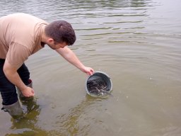 240524_kelo_011