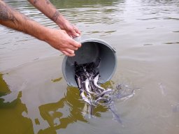 240524_kelo_017