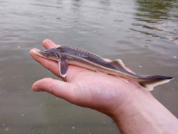 240524_kelo_038