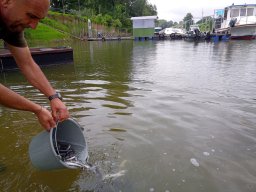 240524_kelo_041