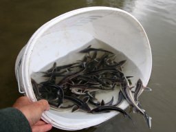 240524_kelo_057