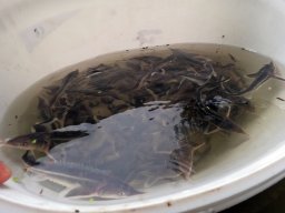 240524_kelo_084