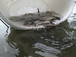 240524_kelo_086