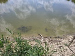 240527_belo_034
