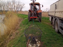 240312_p1_tisza_006