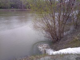 240312_p1_tisza_010
