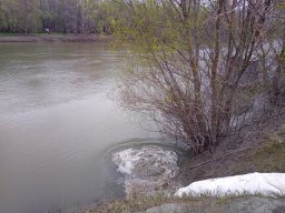 240312_p1_tisza_011