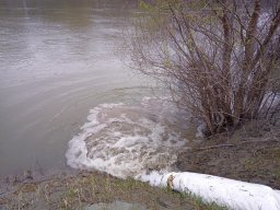 240312_p1_tisza_012