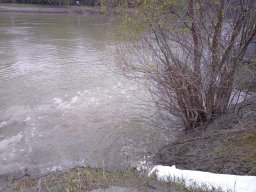 240312_p1_tisza_014