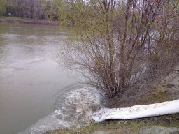240312_p1_tisza_017