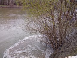 240312_p1_tisza_019