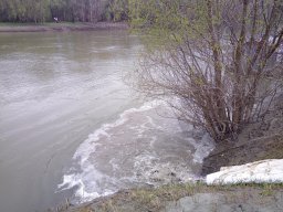 240312_p1_tisza_020