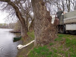 240312_p1_tisza_032