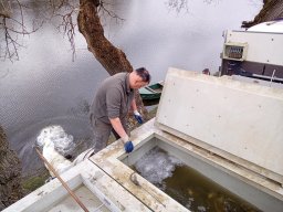 240312_p1_tisza_034