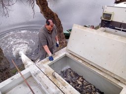 240312_p1_tisza_036