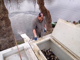 240312_p1_tisza_040