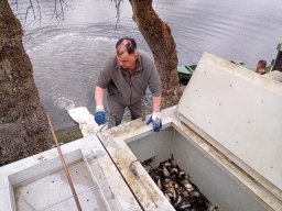 240312_p1_tisza_041