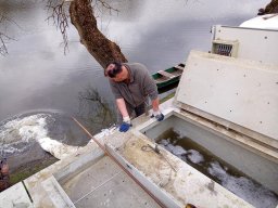 240312_p1_tisza_043