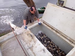 240312_p1_tisza_045