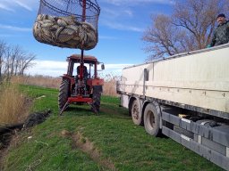 240312_p1_zart_008