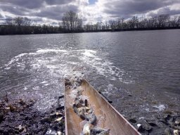 240312_p1_zart_012