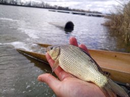 240312_p1_zart_020
