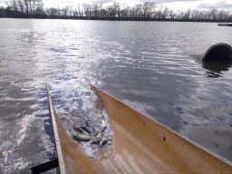 240312_p1_zart_022