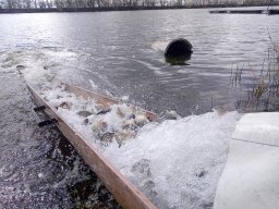 240312_p1_zart_027