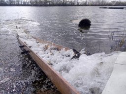 240312_p1_zart_028