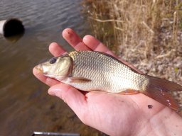 240312_p1_zart_029